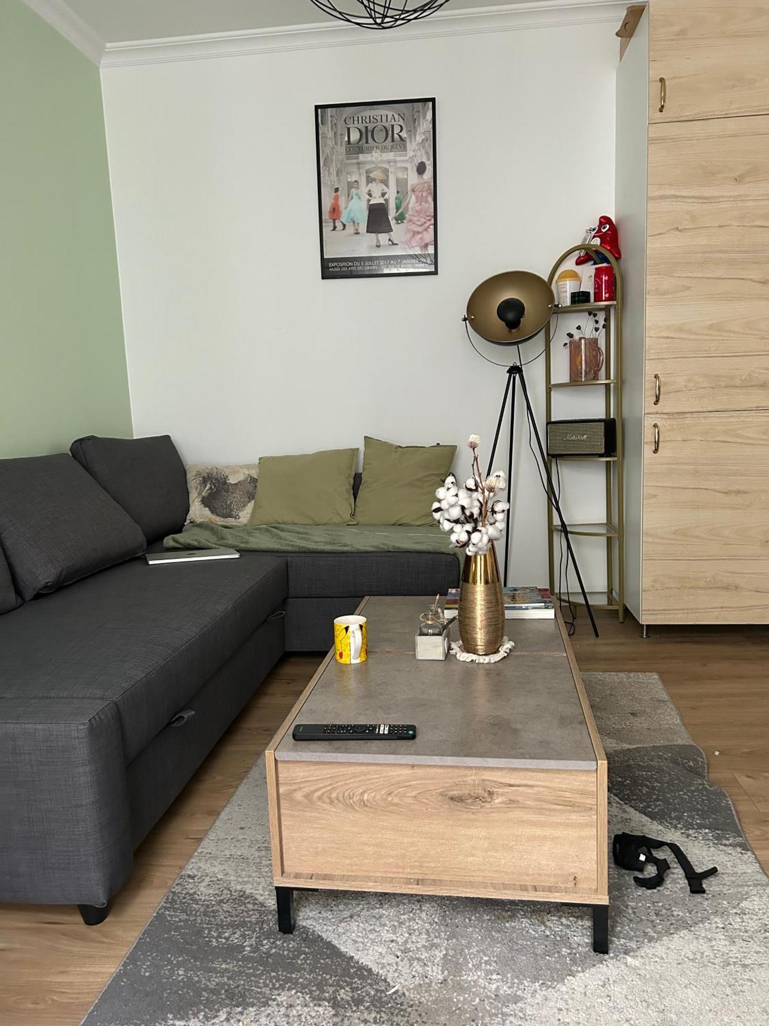 Cozy In Voltaire Apartment Paris